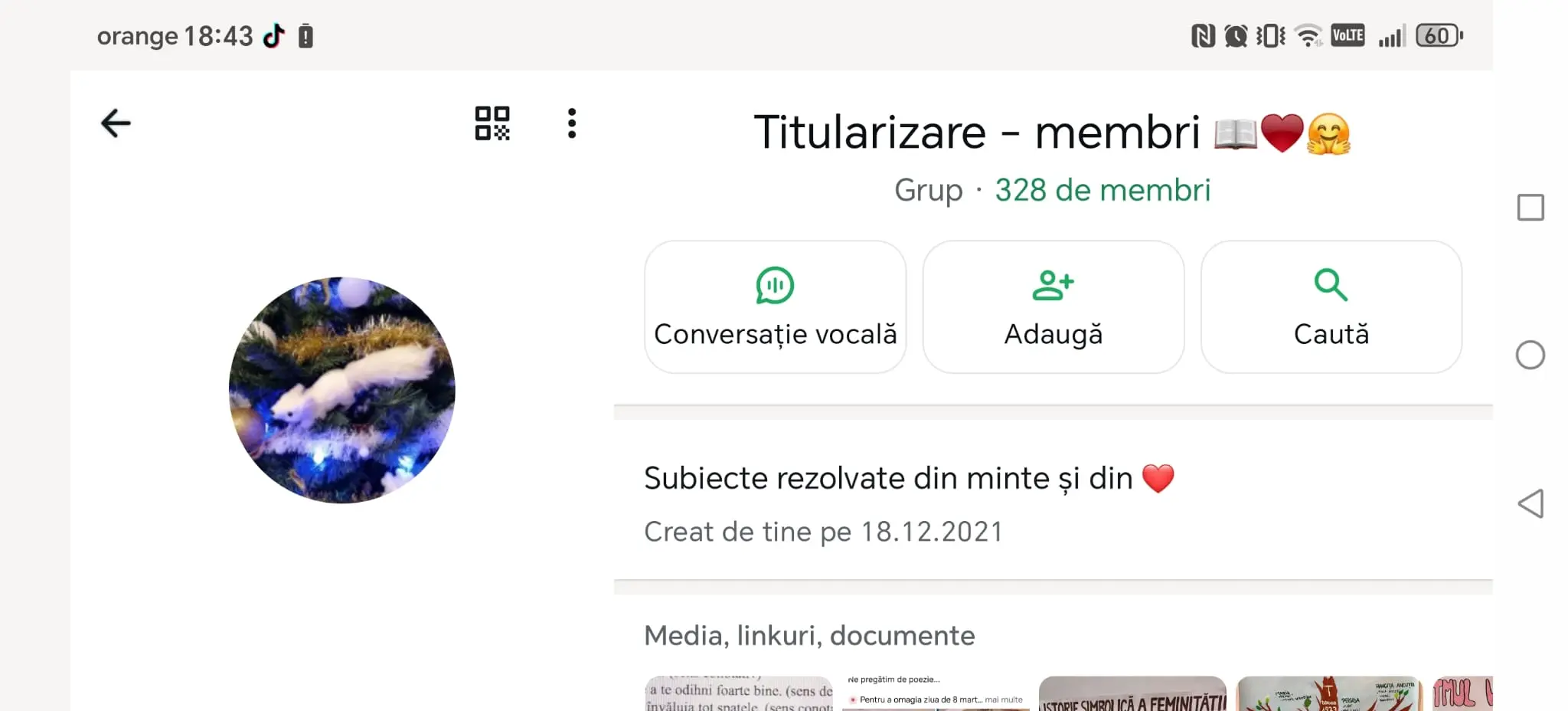 Grup - Titularizare - membri